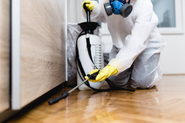 Best Exterminator Services  in Dewey Humboldt, AZ