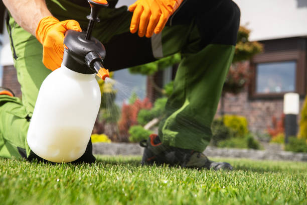 Best Pest Removal Services  in Dewey Humboldt, AZ