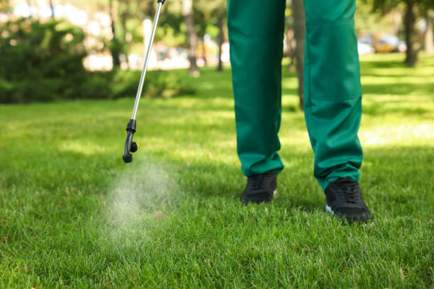 Best Mosquito Control Services  in Dewey Humboldt, AZ